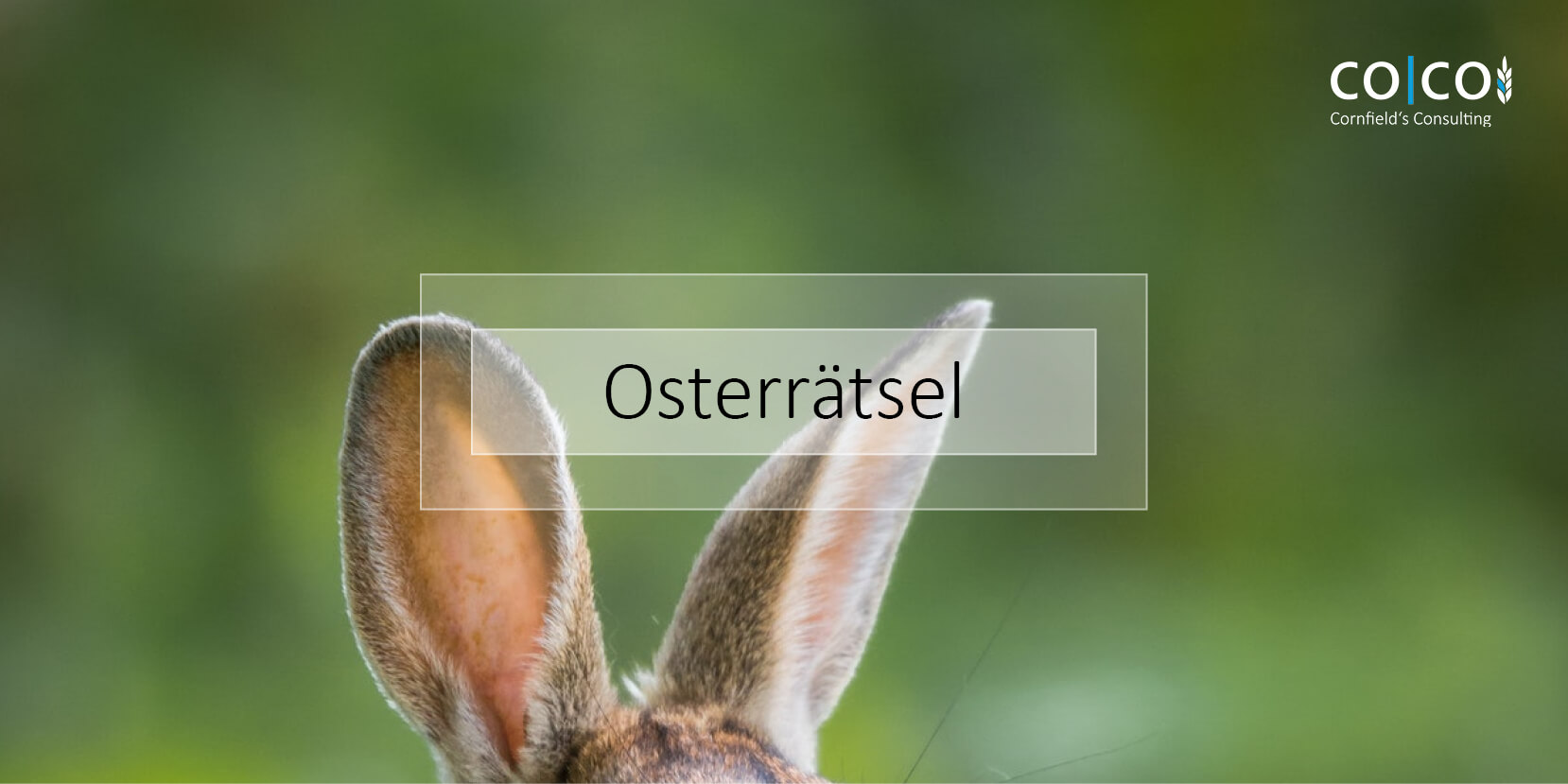 T W Osterrätselbild