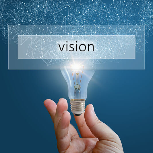 vision