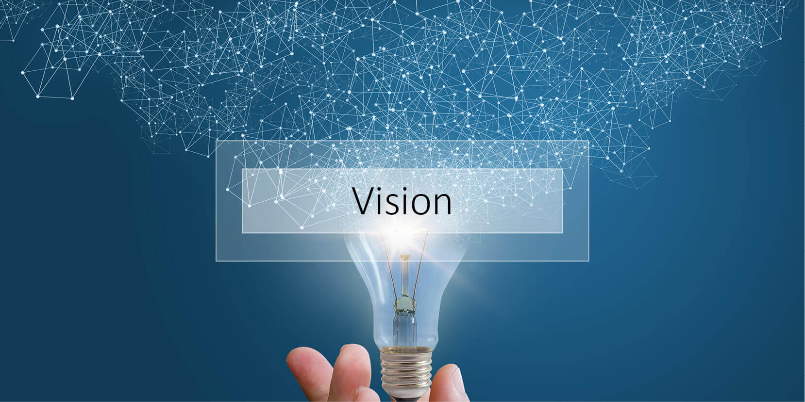 Vision